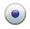 icon_legend_selected_radio_button.png